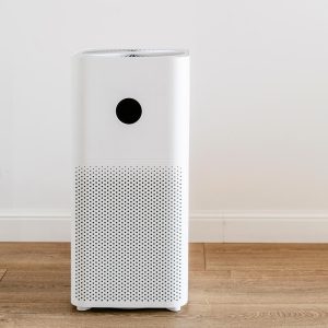 Portable Air Purifier